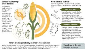 pros and cons of genetic engineering hrf