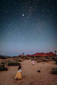 Joshua Tree National Park Night Photography Portrait Photography High Desert Palm Springs Californi Desert Photography Night Photography Desert Photoshoot