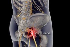 The muscles of the lower back, including the erector spinae and quadratus lumborum muscles, contract to extend and laterally bend the vertebral column. Lower Back Pain Symptoms Stretches Exercise For Pain Relief