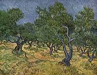 The original dimensions are 73 cm x 91 cm. Olive Trees Van Gogh Series Wikipedia