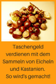 Doch nach einigen spaziergängen hat man dann auch ganz schön viele. Taschengeld Verdienen Lohnt Es Sich Eicheln Und Kastanien Zu Sammeln Die Netz Lupe