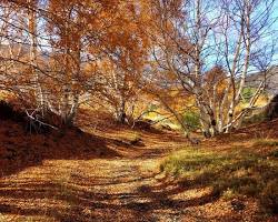 Immagine di Sicilia in autunno