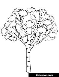 Select from 35919 printable crafts of cartoons, nature, animals, bible and many more. Tree To Print Free Print And Color Online
