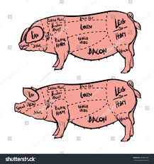 Cut Meat Set Hand Drawn Pig Stock Vector Royalty Free