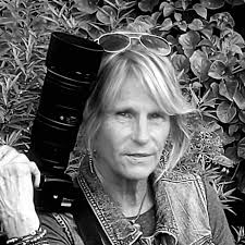 The beautiful Monarch Butterfly