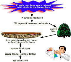 Radiocarbon dating synonyms, radiocarbon dating pronunciation, radiocarbon dating translation, english dictionary definition of radiocarbon dating. Radiocarbon Dating Yolisha