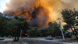 May 01, 2021 · simav orman i̇şletme müdürü osman aksoy, orman yangınları ile mücadele çalışmalarının 7/24 sürdürüldüğünü, orman yangınlarının yüzde 88'inin insan kaynaklı olduğunu ve bu. Rdrd603pv F1hm