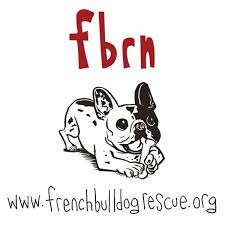 Giese's nonprofit is devoted to taking in special needs dogs. French Bulldog Rescue Network Receives Grant Healthy Paws