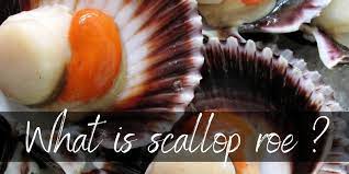 What Is Scallop Roe And What Can You Do With It Foodiosity