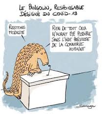 Epingle Sur Images Droles