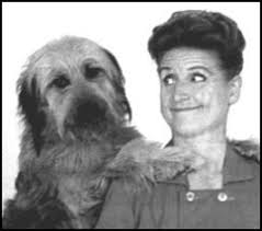 More televison pets: From Jed Clampett's dog to Mr. Ed