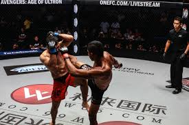 Watch: Top 7 Knockouts in ONE Championship (Videos) | Evolve Daily