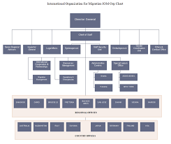 iom org chart sample