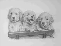 Puppy coloring pages coloring pages for kids coloring books dog quilts digital stamps dog art golden retriever coloring page 7 pics of dogs golden retriever coloring pages realistic do you want to try the dog coloring pages? Drawing Puppy Golden Retriever Puppy Realistic Dog Drawing