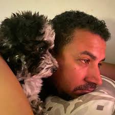 Why are trees being cut down