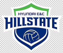 Спортивная аналитика и прогнозы на рамблер/спорт. Suwon Hyundai Engineering Construction Hillstate Hwaseong Ibk Altos V League Incheon Heungkuk Life Pink Spiders Volleyball Text Logo Volleyball Png Klipartz