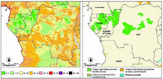 Image result for Ottelia lisowskii