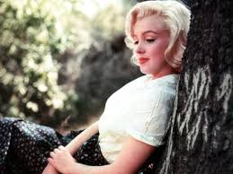 Fondos de pantalla de marilyn monroe. Bilder Von Marilyn Monroe Prominente