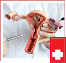 Image result for Pap Smear