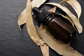 Sandalwood, cedarwood, eucalyptus main ingredients: Is Eucalyptus Oil Good For Beard Growth Benefits And How To Use It
