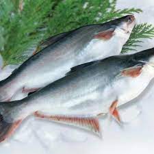 / ikan patin yang memiliki nama latin pangasius hypophthalmus ini cukup terkenal di seluruh dunia. Jual Ikan Patin Segar 500 Gr Kota Bandung Sayuran Segar Jaya Tokopedia