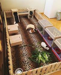 Pin On Exotic Pet Design And Diy