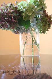 Maybe you would like to learn more about one of these? The Secret To Preserving Hydrangeas Mulch Paint