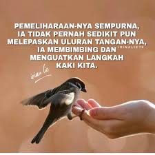 54 |renungan harian air hidup sebagai manusia lama. Renungan Firman Tuhan Berhenti Mengulangi Dosa Yang Sama Lintas Papua