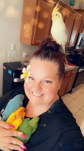 Introduction to pet birds including Sun Conure and Cockatiel