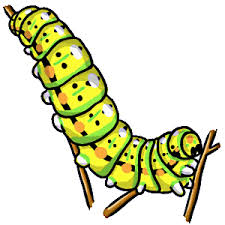 Pin On Lifecycle Of A Butterfly