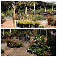 sunhill garden centre auckland auckland