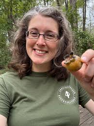 Beautiful doe eating persimmons along the trail at Ditto Landing this  morning, Huntsville