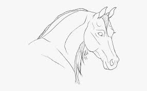 Boy walking with horse coloring page. Coloring Pages Of Arabian Horse Heads Free Transparent Clipart Clipartkey