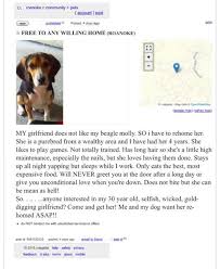 Theses confident hunting dogs enjoy being around people and are comfortable around. Virginia Man Tries To Rehome Dog Disliking Girlfriend On Craigslist