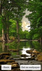 It's up to us to make the environment clean and safe for future generations. Nature Wallpapers Slideshow Hd Blackberry Forums At Crackberry Com