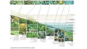 Making Ground Farming Water Tls Landscape Architecture Landscape Architecture Graphics Landscape Diagram Landscape Architecture