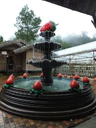 Find traveller reviews, 15 candid photos, and prices for 7 bed and breakfasts in genting highlands, pahang, malaysia. Genting Strawberry Leisure Farm Genting Highlands 2021 All You Need To Know Before You Go With Photos Tripadvisor