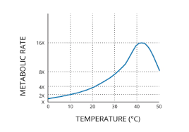 Water Temperature Environmental Measurement Systems