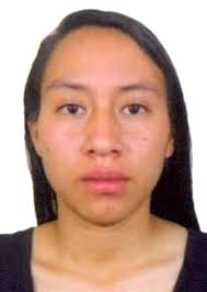 Propiedades de Otorongos Elecciones 2022