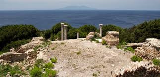 Image result for Verde Giannutri 2008 147