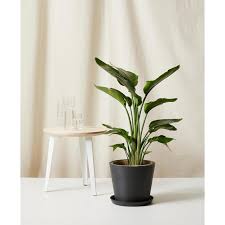 Kamla Pande and Todd Barrish's Wedding Registry