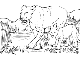 Malvorlage Lowin Wilde Tiere Kostenlose Ausmalbilder