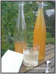 Sirop De Pamplemousse Maison Aux Huiles Essentielles Cahier Gourmand Boissons Non Alcoolisees Sirop Boisson