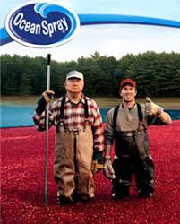 Ocean Spray Brings Cranberry Flavor To Epcot Food Wine Festival The Disney Blog