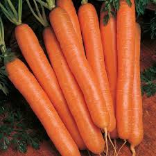 One of the oldest heirloom carrot varieties. Scarlet Nantes Carrot Seeds Park Seed