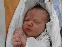 Fotogalerie: Miminka 22. týden