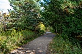 Vicki Barron Lakeside Trail At Island Lake Conservation Area In Orangeville  Ontario Canada Stock Photo