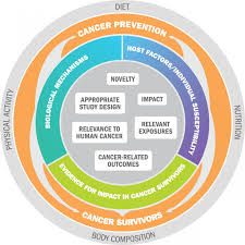 .cancer burden using the globocan 2020 estimates of cancer incidence and mortality produced by the international agency for research on cancer. Apply For A Research Grant World Cancer Research Fund International