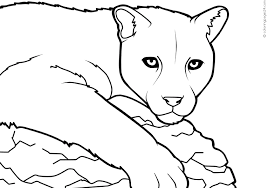 Complete the form below to order yours. Puma Coloring Pages Coloring Home