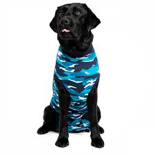 Recovery Suit Dog Suitical